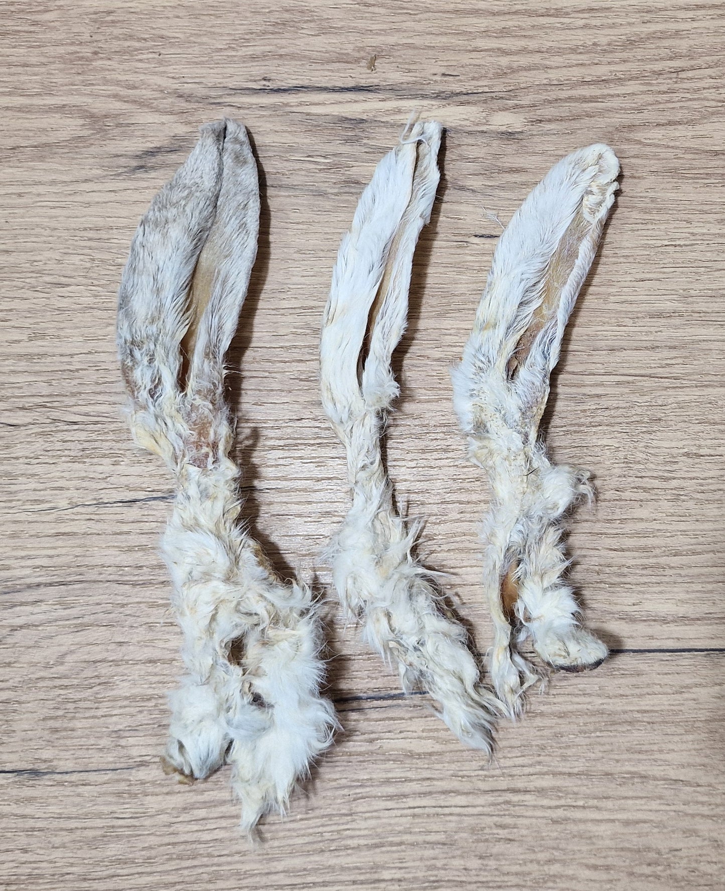 Oreja de conejo con pelo