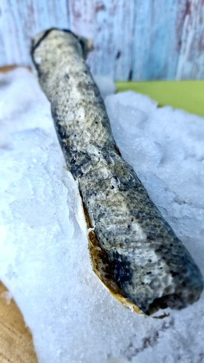 Pel de peixe deshidratada