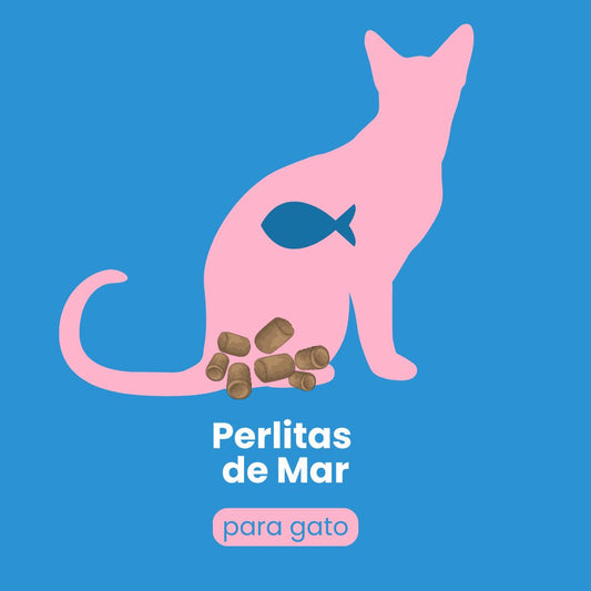 Perlitas de mar para GATO