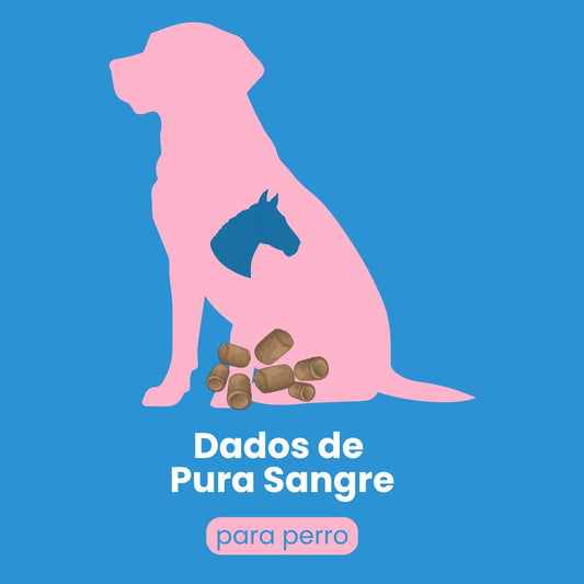 Dados de pura sangre para PERRO
