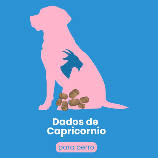 Dados de capricornio para PERRO