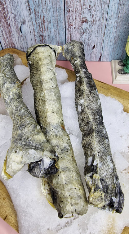 Pel de peixe deshidratada