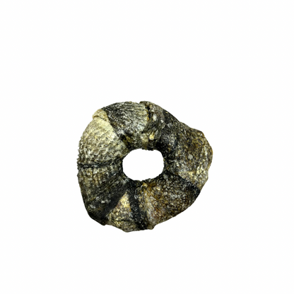 Rosca de pel de bacallau